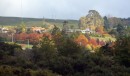 Fall colours in oak and maple trees near Rotorua