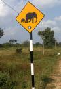 Elephant road sign - we didn
