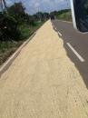 Drying rice on one side of the highway