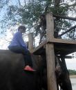 Getting on the elephant.: Unlike other visitors in palanquins, Dominique gets to ride bareback. 