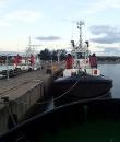 One of the harbour tugboats: We welcomed the chance to go out with one of the tugboats as they guided a cargo ship into Richards Bay harbour