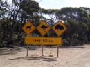 Road Caution Sign: Emu, kangaroo, and wombat road crossing hazards