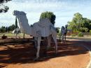 Corrugated Camels: Near town centre of Norseman, a mining community