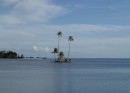 A small coconut island in Raiatea