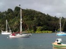 Petite Ourse moored in the outer reaches of the creek in Savusavu