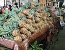 Pineapples were abundant in the market.  