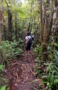 In the only rainforest left on Vanu Levu, the Waisali Rainforest Reserve 