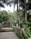 Entrance to a tropical garden housing 250 species of palm trees.