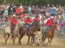 Bourail Agricultural Fair: At the rodeo riders escort an errand cow out of the ring.