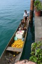 Local indians selling mangos from their dug-out canoe