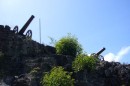Canons at Fort