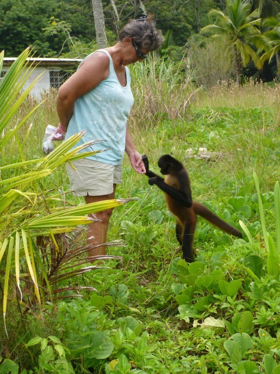 This monkey was friendly but insistent on getting food.  Later when the alpha male came along they both visciouslt attacked Michelle and she was bitten 4 times.  Three antibiotics and 3 months later the worse bite is still not completely healed.