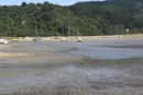 Low tide at Abel Tasman