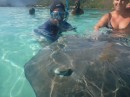 The tour boats bring tourists here to play with the sting rays.  The are fed by the guides so are tame and unafraid of people