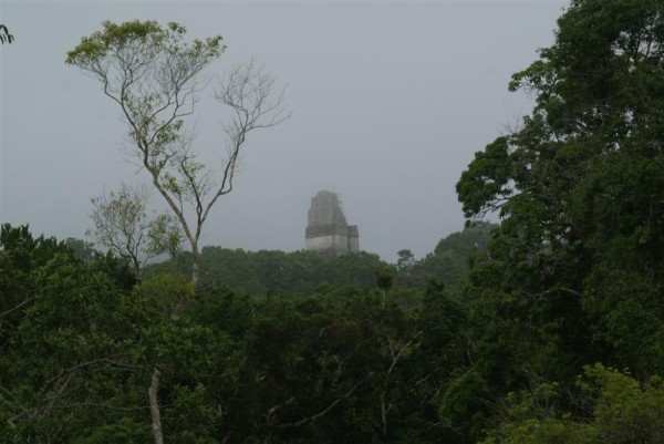 Temple I, Great Jaguar Temple, rising from the mist.  144 feet tall,  700AD 