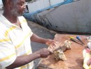 A conch fisherman showing MIchelle where to put the hole to remove the conch.  She like to eat them raw with a bit of lemon.  To me they are big, disgusting, rubbery snails,  ugh!!