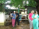 The doctors visiting the pig stables,  the 2 girls on the right were the pediatricians