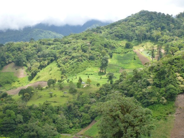 Most of the produce for the country is grown in this region,  the fertile soil from the tallest volcano in Panama makes this a lush area for growth