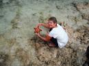 Lookie at what I found .... huge, gorgeous starfish