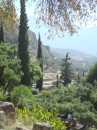 Vista with olive and cypress trees