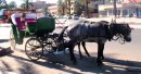Taxi horse and cart