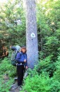 Alison finds the PCT symbol and trail entrance after a 1 day detour off the trail near Tacoma.