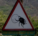 Sign showing right of way for dung beetles