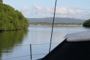 Mangroves, Lockhard River.