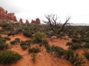 Desert View: Arches