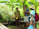 Bargaining for fruit: Nuku Hiva Marquesas