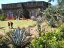 The cactus garden on Fort Napoleon.