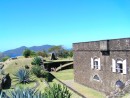 The tops of the walls of Fort Napoleon have become cactus gardens.