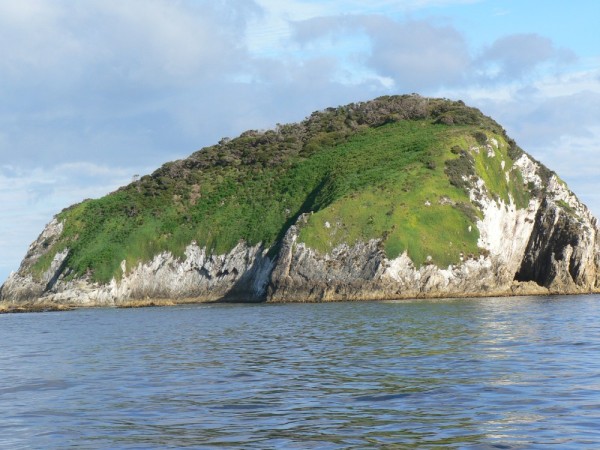 Island near the entrance of Port Davey