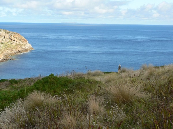 View across Bass Strait from Erith Island