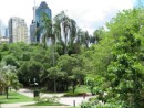 Brisbane Botanical Garden est. 1864