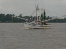 Shrimper. Lots of these around, their outriggers are big