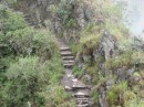 The trail up to Wayna Picchu.