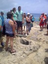 Tourists waiting for the Blow Hole to blow but it was not high tide, so it only blew air!