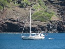 Cetacea anchored in Hanaiapa Bay.