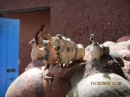 Example clay bull figurines that are placed on top of the house roofs throughout Peru.