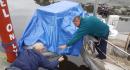 Greg and Ken putting tarp over dinghy on Surrender (Ken’s boat)
