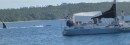Humpback mother, calf and escort visited our anchorage near Lapa Is, Vava
