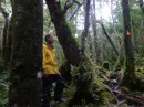 The rainforest was dense.  Fortunately the trail was marked or we would have got lost!