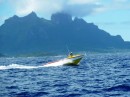 Approaching the pass into Bora Bora, a local boat zips by - note the helming position in the bow. This is common in French Polynesia, so that the helmsman can see the reefs and bommies.