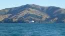 A Cook Strait ferry emerges through the narrow entrance to Tory Channel