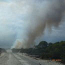 Bushfires are a constant threat to Tasmanian forests