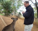 A polite conversation with this kangaroo was a pleasant change!