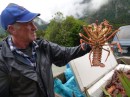 Unfortunately we arrived right at the end of the crayfish season - in time to see this last load come in for the fishermen