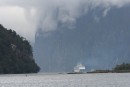 This is large cruise ship turning around at the head of the Sound; shows the scale of things!