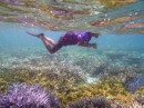 Taking the plunge - no shortage of coral reefs in the lagoon